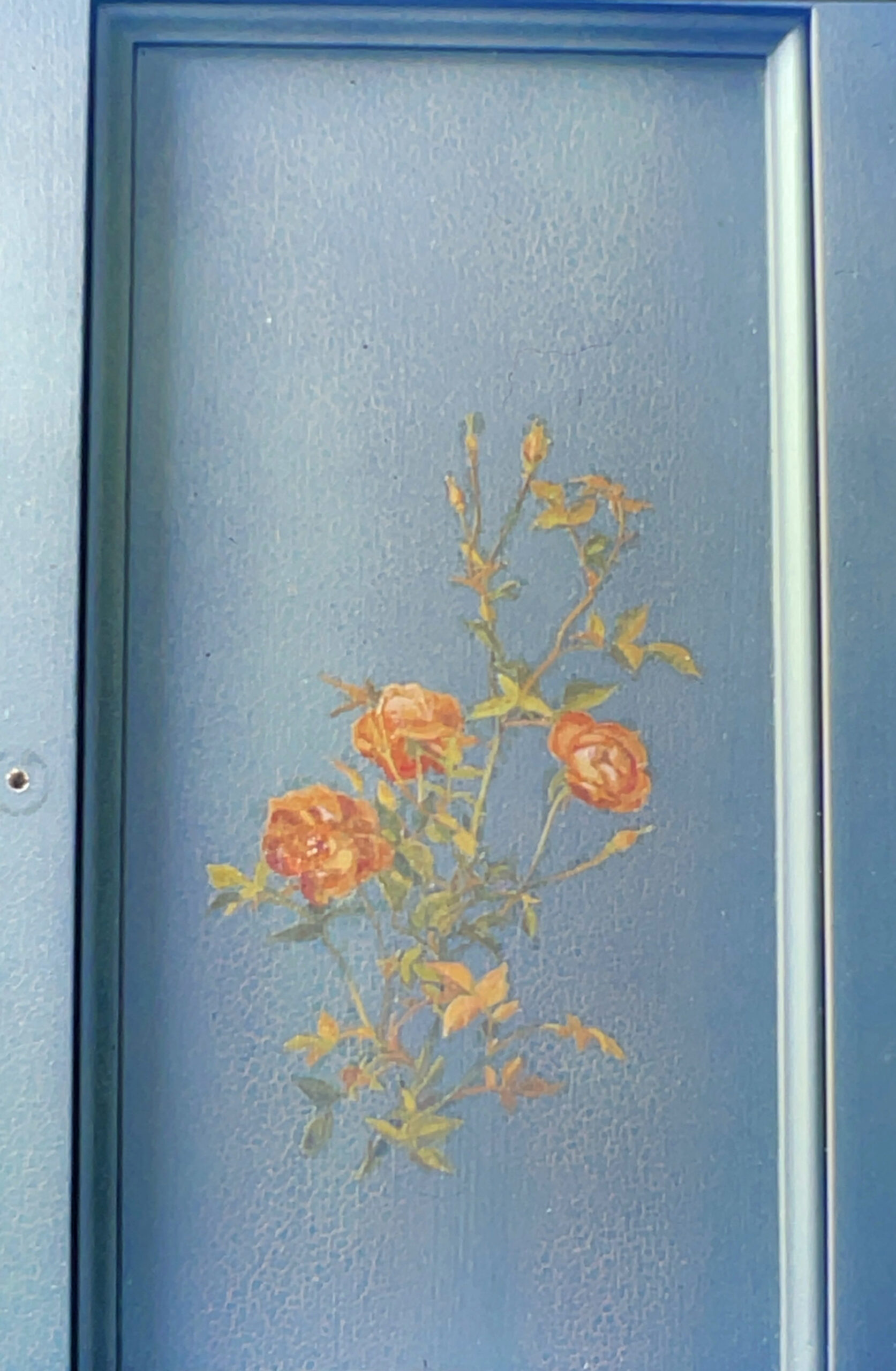 Painted cabinet door