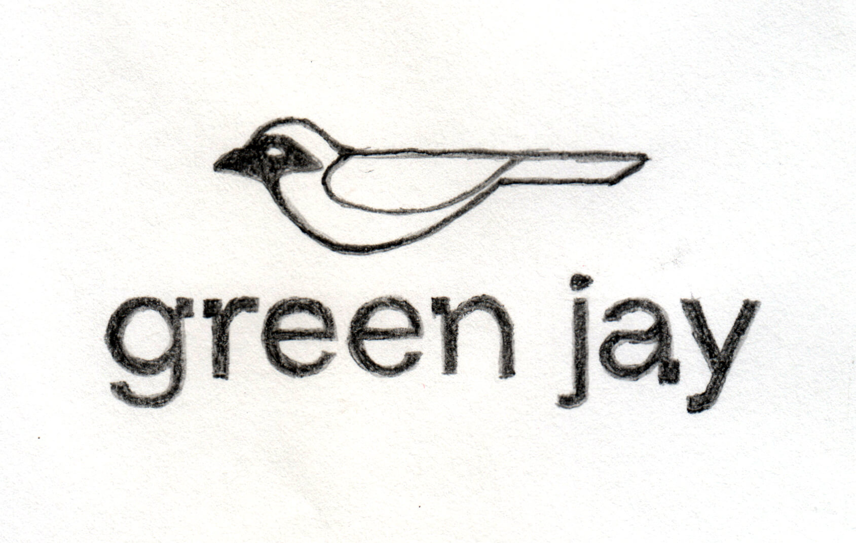 Green Jay logo sketch
