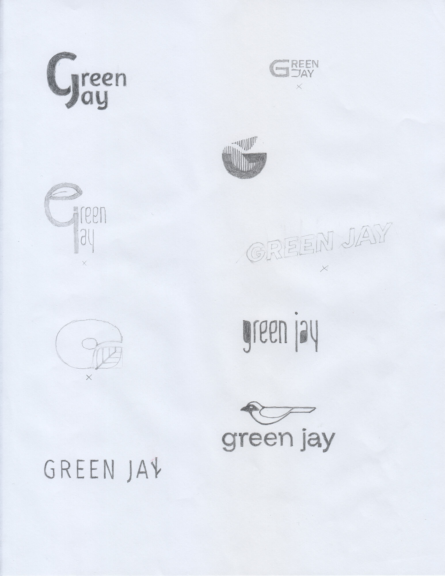 green-jay-logo-sketches-1