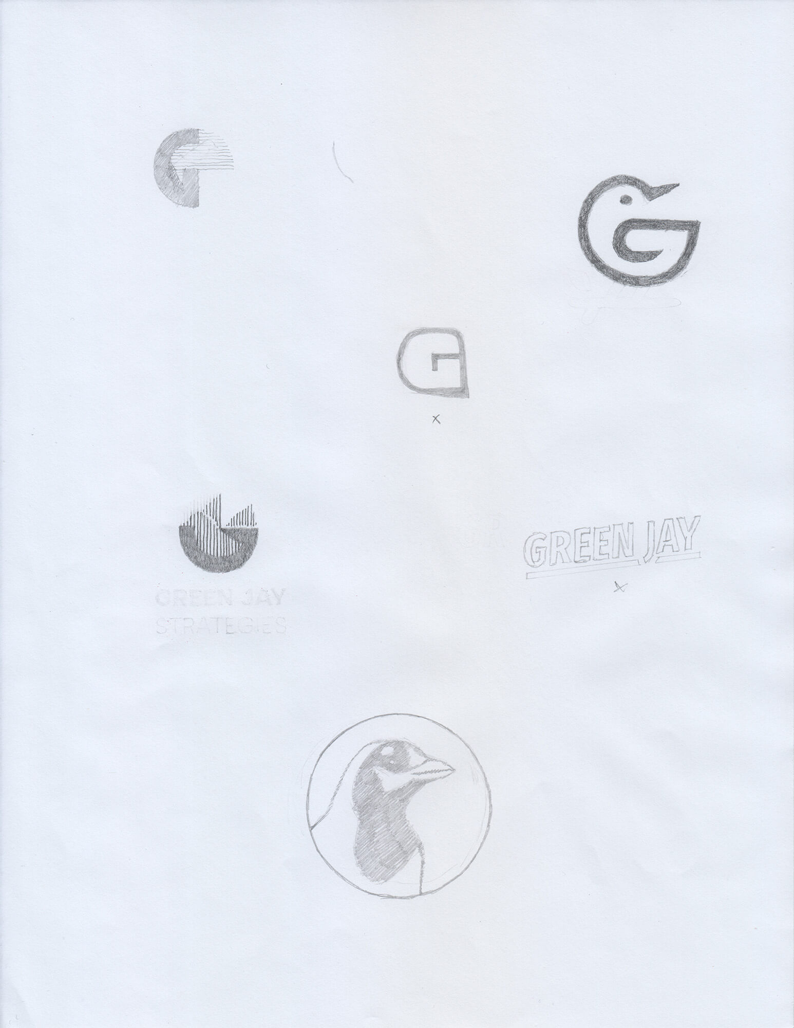 Green Jay logo sketches