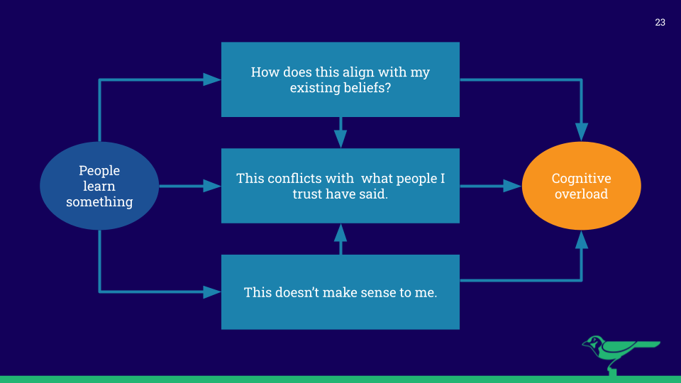 Green Jay Presentation Slide